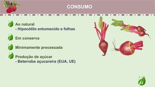 13
Ao natural
- Hipocótilo entumecido e folhas
Em conserva
Minimamente processada
Produção de açúcar
- Beterraba açucareira (EUA, UE)
CONSUMO
 