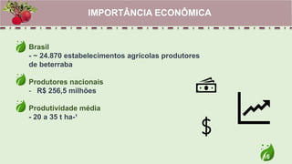16
Brasil
- ~ 24.870 estabelecimentos agrícolas produtores
de beterraba
Produtores nacionais
- R$ 256,5 milhões
Produtividade média
- 20 a 35 t ha-¹
IMPORTÂNCIA ECONÔMICA
 