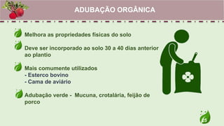 25
Melhora as propriedades físicas do solo
Deve ser incorporado ao solo 30 a 40 dias anterior
ao plantio
Mais comumente utilizados
- Esterco bovino
- Cama de aviário
Adubação verde - Mucuna, crotalária, feijão de
porco
ADUBAÇÃO ORGÂNICA
 