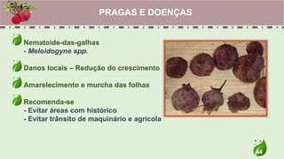 44
Nematoide-das-galhas
- Meloidogyne spp.
Danos locais – Redução do crescimento
Amarelecimento e murcha das folhas
Recomenda-se
- Evitar áreas com histórico
- Evitar trânsito de maquinário e agrícola
PRAGAS E DOENÇAS
 