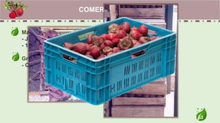 53
Maços
- Juntos a parte aérea
- 12 unidades ~3 a 4 kg
Granel
- Caixas de 20 a 25 kg
COMERCIALIZAÇÃO
 