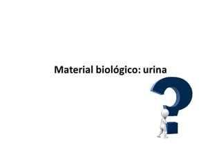 ANTES DE COMEÇAR....
VOCE SABE O QUE É A URINA?
PORQUE URINAMOS?
PORQUE É IMPORTANTE FAZER EXAMES DE URINA?
 