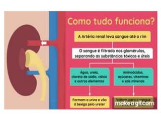 aula bia.ppt