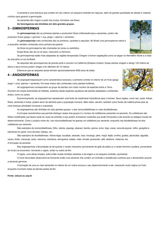 A semente é uma estrutura que contém em seu interior um pequeno embrião em repouso, além de grande quantidade de células e material
nutritivo para garantir a germinação.
          As sementes têm origem a partir dos óvulos, formados nas flores.
          As fanerógamas são divididas em dois grandes grupos:

3 - GIMNOSPERMAS
          As gimnospermas são as primeiras plantas a produzirem flores (inflorescências) e sementes, porém não
produzem frutos (grego = gymnos = nua, grego = sperma = semente) .
          As gimnospermas mais conhecidas são os pinheiros, ciprestes e sequóias. No Brasil uma gimnosperma nativa é
a araucária, também conhecida como pinheiro-do-paraná.
          As flores da gimnosperma são chamadas de cones ou estróbilos.
          Essas flores são de um só sexo, masculino ou feminino.
          As gimnospermas estão mais adaptadas às regiões temperadas Chegam a formar vegetações como as taigas no Hemisfério Norte e a mata
de araucária no sul do Brasil.
          As sequóias são gimnospermas de grande porte e ocorrem na Califórnia (Estados Unidos). Essas plantas chegam a atingir 120 metros de
altura e seus troncos podem chegar a ter diâmetro de 12 metros.
          Estima-se que as sequóias atuais tenham aproximadamente 4000 anos de idade.

4 - ANGIOSPERMAS
          As angiospermaspossuem como característica exclusiva, a semente contida no interior de um fruto (grego
angio = urna; sperma = semente). Por esse motivo são conhecidas como plantas frutíferas.
          As angiospermas correspondem ao grupo de plantas com maior número de espécies sobre a Terra.
Ocorrem em ampla diversidade de hábitats, existindo desde espécies aquáticas até plantas adaptadas a ambientes
áridos, como os cactos.
          Economicamente, as angiospermas representam uma fonte de inestimável importância para o homem. Seus órgãos, como raiz, caule, folhas,
flores, sementes e frutos, podem servir de alimento para a população humana. Além disso, servem, também como fontes de matéria-prima para as
mais diversas atividades humanas e industriais.
          As angiospermas são divididas em dois grandes grupos: o das monocotiledôneas e o das dicotiledôneas.
          A principal característica que permite distinguir esses dois grupos é o número de cotilédones presentes na semente. Os cotilédones são
folhas modificadas que fazem parte do corpo do embrião e que podem armazenar nutrientes que serão fornecidos a ele durante os estágios iniciais de
desenvolvimento. Como o próprio nome diz, nas monocotiledôneas há apenas um cotilédone por semente, enquanto nas dicotiledôneas há dois
cotilédones por semente.
          São exemplos de monocotiledôneas: Alho, cebola, aspargo, abacaxi, bambu, grama, arroz, trigo, aveia, cana-de-açúcar, milho, gengibre e
palmeiras em geral: coco-da-baía, babaçu, etc.
          São exemplos de dicotiledôneas: Vitória-régia, eucalipto, abacate, rosa, morango, pêra, maçã, feijão, ervilha, goiaba, jabuticaba, algodão,
cacau, limão, maracujá, cacto, mamona, mandioca, seringueira, batata, mate, tomate, jacarandá, café, abóbora, melancia, etc.
A formação da semente
          Nas angiospermas a fecundação se dá quando o núcleo masculino (proveniente do grão de pólen) e o núcleo feminino (oosfera, proveniente
do óvulo) se encontram, formando o zigoto, ainda no ovário da flor.
          O zigoto, uma célula simples, sofre então muitas divisões celulares e dá origem a um pequeno embrião, pluricelular.
          O óvulo fecundado desenvolve-se formando então uma semente. Ela contém um embrião e substâncias nutritivas que o alimentarão quando
a semente germinar.
          A formação de uma ou mais sementes no interior de um ovário provoca o seu desenvolvimento e ele, crescendo muito origina um fruto,
enquanto murcham todas as demais partes da flor.


Fonte: educar.sc.usp.br
 