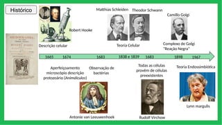 Histórico
Descrição celular
Robert Hooke
1665
Aperfeiçoamento
microscópio descrição
protozoário (Animálculos)
1674
Antonie van Leeuwenhoek
1683
Observação de
bactérias
Teoria Celular
1838 e 1839
Matthias Schleiden Theodor Schwann
Rudolf Virchow
1683
Todas as células
provêm de células
preexistentes
Complexo de Golgi
"Reação Negra"
Camillo Golgi
1898
Lynn margulis
1967
Teoria Endossimbiótica
 