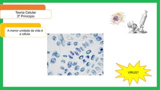 Teoria Celular
3º Prinicipio
A menor unidade da vida é
a célula.
VÍRUS?
 