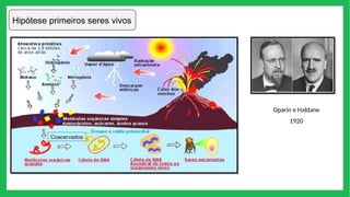 Hipótese primeiros seres vivos
1920
Oparin e Haldane
Coacervados
 