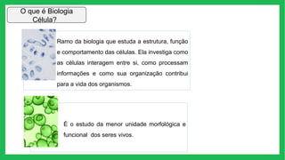 O que é Biologia
Célula?
Ramo da biologia que estuda a estrutura, função
e comportamento das células. Ela investiga como
as células interagem entre si, como processam
informações e como sua organização contribui
para a vida dos organismos.
É o estudo da menor unidade morfológica e
funcional dos seres vivos.
 