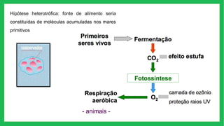 Hipótese heterotrófica: fonte de alimento seria
constituídas de moléculas acumuladas nos mares
primitivos
 