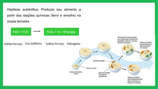 Hipótese autotrófica: Produzia seu alimento a
partir das reações químicas (ferro e enxofre) na
crosta terrestre
FeS + H2S FeS2 + H2 +Energia
Sulfato Ferroso Gás Sulfídrico Sulfeto Ferroso Hidrogênio
 