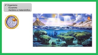 4º Organismo
Eucarioto
Aeróbico e heterotrófico
 