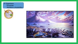 5º Organismo
Eucarioto
Aeróbico e Autotrófico
 