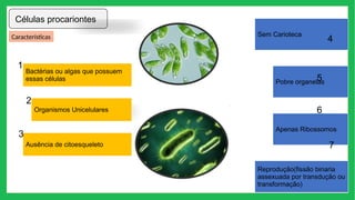 Células procariontes
Características
Bactérias ou algas que possuem
essas células
Organismos Unicelulares
Ausência de citoesqueleto
Sem Carioteca
Pobre organelas
Apenas Ribossomos
Reprodução(fissão binaria
assexuada por transdução ou
transformação)
1
2
3
4
5
6
7
 