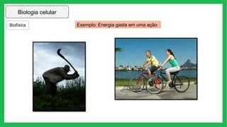 Biologia celular
Exemplo: Energia gasta em uma ação
Biofísica
 