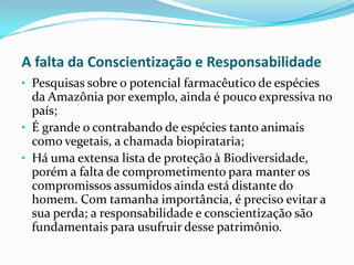 A falta da Conscientização e Responsabilidade
• Pesquisas sobre o potencial farmacêutico de espécies
  da Amazônia por exemplo, ainda é pouco expressiva no
  país;
• É grande o contrabando de espécies tanto animais
  como vegetais, a chamada biopirataria;
• Há uma extensa lista de proteção à Biodiversidade,
  porém a falta de comprometimento para manter os
  compromissos assumidos ainda está distante do
  homem. Com tamanha importância, é preciso evitar a
  sua perda; a responsabilidade e conscientização são
  fundamentais para usufruir desse patrimônio.
 