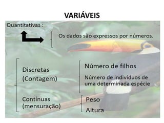 VARIÁVEIS
 
