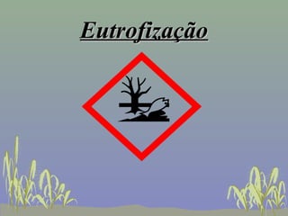 Eutrofização
 