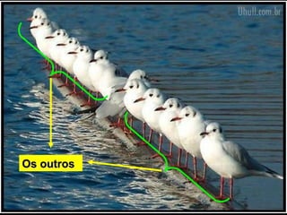 Os outros
 