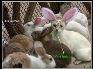 Os outros




            Vc é foda!!
 