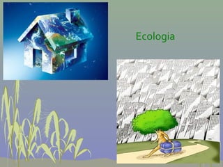 Ecologia
 