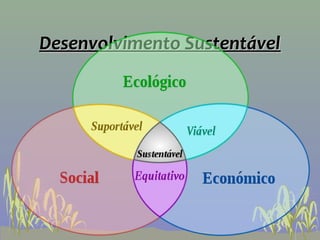 Desenvolvimento Sustentável
 