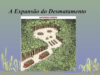 A Expansão do Desmatamento
 