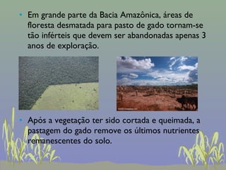 • Em grande parte da Bacia Amazônica, áreas de
  floresta desmatada para pasto de gado tornam-se
  tão inférteis que devem ser abandonadas apenas 3
  anos de exploração.




• Após a vegetação ter sido cortada e queimada, a
  pastagem do gado remove os últimos nutrientes
  remanescentes do solo.
 