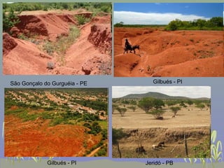 São Gonçalo do Gurguéia - PE     Gilbués - PI




             Gilbués - PI      Jeridó - PB
 