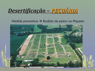 Desertificação – PECUÁRIA
 Medida preventiva  Rodízio da pastos ou Piquetes
 