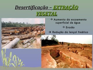 Desertificação – EXTRAÇÃO
         VEGETAL
               Aumento do escoamento
                 superficial da água
                       Erosão
              Redução do lençol freático
 