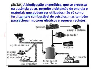 (ENEM) A biodigestão anaeróbica, que se processa
na ausência de ar, permite a obtenção de energia e
materiais que podem ser utilizados não só como
fertilizante e combustível de veículos, mas também
para acionar motores elétricos e aquecer recintos.
 