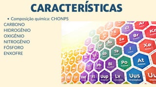 Chonps Bioelementos aula DE biologia ensino médio revisão.pdf