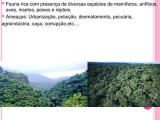 Aula Biomas e ecossistemas brasileiros .ppt