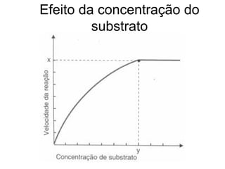 Efeito da concentração do
substrato
 