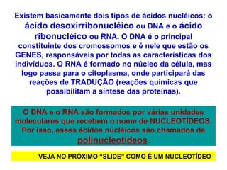 Existem basicamente dois tipos de ácidos nucléicos: o
ácido desoxirribonucléico ou DNA e o ácido
ribonucléico ou RNA. O DNA é o principal
constituinte dos cromossomos e é nele que estão os
GENES, responsáveis por todas as características dos
indivíduos. O RNA é formado no núcleo da célula, mas
logo passa para o citoplasma, onde participará das
reações de TRADUÇÃO (reações químicas que
possibilitam a síntese das proteínas).
O DNA e o RNA são formados por várias unidades
moleculares que recebem o nome de NUCLEOTÍDEOS.
Por isso, esses ácidos nucléicos são chamados de
polinucleotídeos.
VEJA NO PRÓXIMO “SLIDE” COMO É UM NUCLEOTÍDEO
 