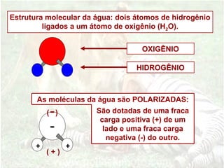 Estrutura molecular da água: dois átomos de hidrogênio
ligados a um átomo de oxigênio (H2O).
OXIGÊNIO
HIDROGÊNIO
As moléculas da água são POLARIZADAS:
São dotadas de uma fraca
carga positiva (+) de um
lado e uma fraca carga
negativa (-) do outro.
+ +
( )
( + )
 