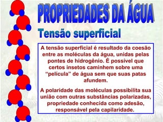 A tensão superficial é resultado da coesão
entre as moléculas da água, unidas pelas
pontes de hidrogênio. É possível que
certos insetos caminhem sobre uma
“película” de água sem que suas patas
afundem.
A polaridade das moléculas possibilita sua
união com outras substâncias polarizadas,
propriedade conhecida como adesão,
responsável pela capilaridade.
 