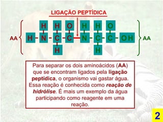 H
H
H H
H
H
H
H
NN CC C C
OO
O
LIGAÇÃO PEPTÍDICA
Para separar os dois aminoácidos (AA)
que se encontram ligados pela ligação
peptídica, o organismo vai gastar água.
Essa reação é conhecida como reação de
hidrólise. É mais um exemplo da água
participando como reagente em uma
reação.
2
AAAA
 