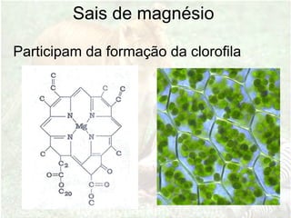 Sais de magnésio
Participam da formação da clorofila
 