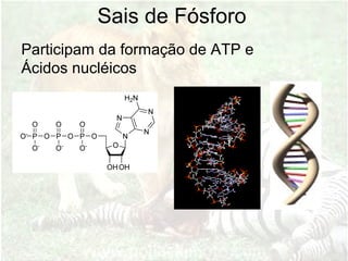 Sais de Fósforo
Participam da formação de ATP e
Ácidos nucléicos
 
