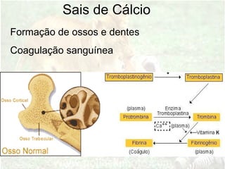 Sais de Cálcio
Formação de ossos e dentes
Coagulação sanguínea
 
