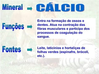 Entra na formação de ossos e
dentes. Atua na contração das
fibras musculares e participa dos
processos de coagulação do
sangue.
Leite, laticínios e hortaliças de
folhas verdes (espinafre, brócoli,
etc.).
 