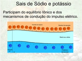Sais de Sódio e potássio
Participam do equilíbrio Iônico e dos
mecanismos de condução do impulso elétrico.
 