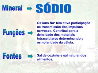 Os íons Na+
têm ativa participação
na transmissão dos impulsos
nervosos. Contribui para a
densidade dos materiais
intracelulares determinando a
osmolaridade da célula.
Sal de cozinha e sal natural dos
alimentos.
 