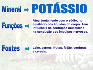 Atua, juntamente com o sódio, no
equilíbrio dos líquidos do corpo. Tem
influência na contração muscular e
na condução dos impulsos nervosos.
Leite, carnes, frutas, feijão, verduras
e cereais.
 