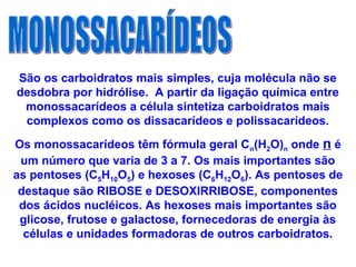 São os carboidratos mais simples, cuja molécula não se
desdobra por hidrólise. A partir da ligação química entre
monossacarídeos a célula sintetiza carboidratos mais
complexos como os dissacarídeos e polissacarídeos.
Os monossacarídeos têm fórmula geral Cn(H2O)n onde n é
um número que varia de 3 a 7. Os mais importantes são
as pentoses (C5H10O5) e hexoses (C6H12O6). As pentoses de
destaque são RIBOSE e DESOXIRRIBOSE, componentes
dos ácidos nucléicos. As hexoses mais importantes são
glicose, frutose e galactose, fornecedoras de energia às
células e unidades formadoras de outros carboidratos.
 