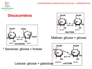COMPONENTES QUÍMICOS DAS CÉLULAS – CARBOIDRATOS
Dissacarídeos
* Sacarose: glicose + frutose
Maltose: glicose + glicose
Lactose: glicose + galactose
 