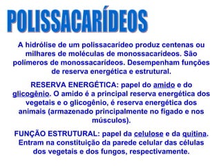 A hidrólise de um polissacarídeo produz centenas ou
milhares de moléculas de monossacarídeos. São
polímeros de monossacarídeos. Desempenham funções
de reserva energética e estrutural.
RESERVA ENERGÉTICA: papel do amido e do
glicogênio. O amido é a principal reserva energética dos
vegetais e o glicogênio, é reserva energética dos
animais (armazenado principalmente no fígado e nos
músculos).
FUNÇÃO ESTRUTURAL: papel da celulose e da quitina.
Entram na constituição da parede celular das células
dos vegetais e dos fungos, respectivamente.
 
