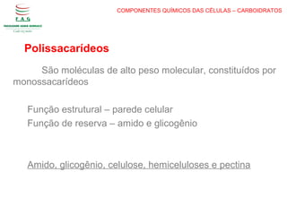 COMPONENTES QUÍMICOS DAS CÉLULAS – CARBOIDRATOS
Polissacarídeos
São moléculas de alto peso molecular, constituídos por
monossacarídeos
Função estrutural – parede celular
Função de reserva – amido e glicogênio
Amido, glicogênio, celulose, hemiceluloses e pectina
 