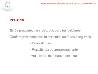 COMPONENTES QUÍMICOS DAS CÉLULAS – CARBOIDRATOS
PECTINA
Estão presentes na matriz das paredes celulares
Confere características importantes as frutas e legumes
- Consistência
- Resistência ao armazenamento
- Velocidade no amadurecimento
 